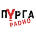 Логотип Радио Пурга